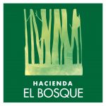 Logo_Bosque